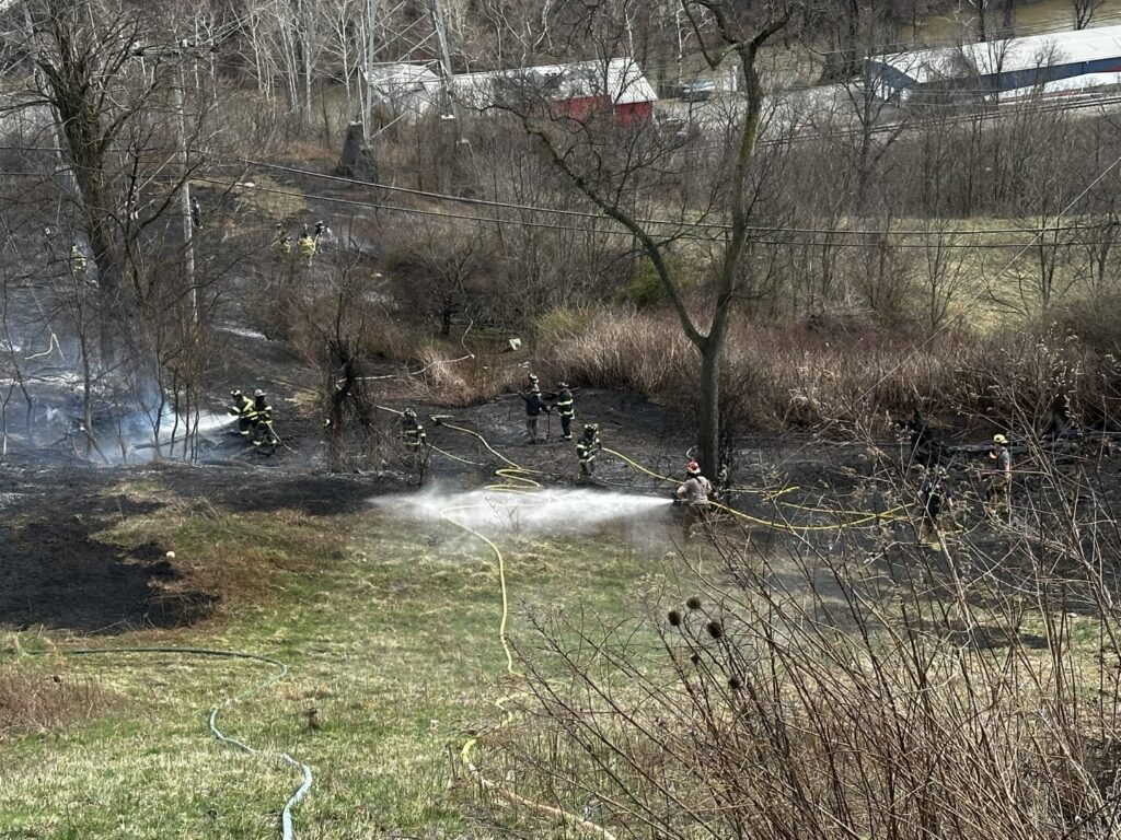 20260315 Brush Fire RES (6)