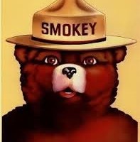 Smokeybear.com